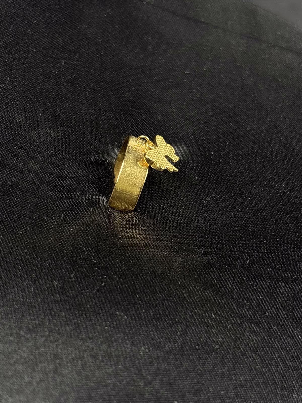 Golden Butterfly Band